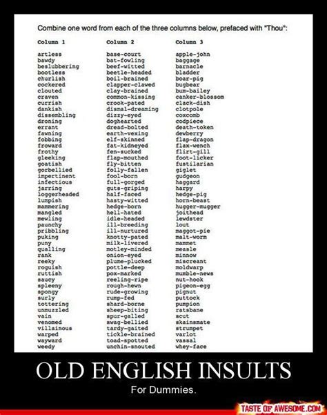 insult words list english