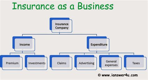 Insurance Company's Role