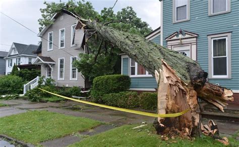 Insurance Coverage for Downed Trees
