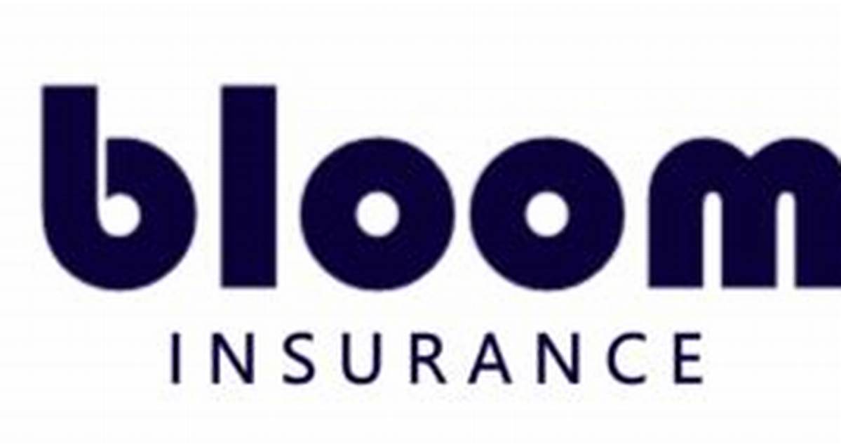 insurance products offered by bloom insurance agency