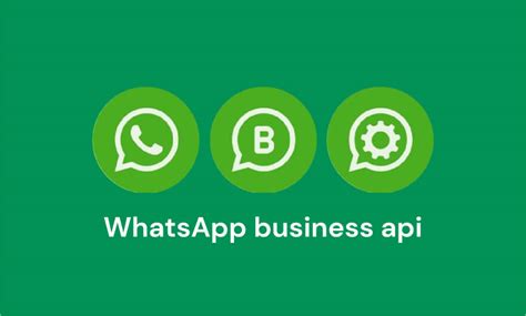 integrate whatsapp business with website