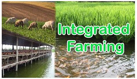 Integrated Farming System Images Farm Model USDA ARS