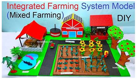 Integrated Farming System Model For Exhibition RIMT UNIVERSITY YouTube