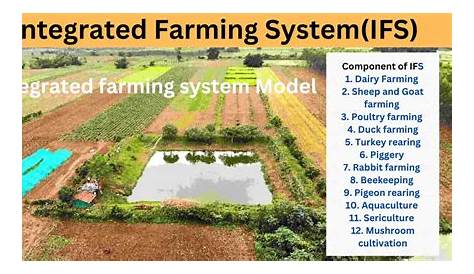 Integrated Farming System Model In India For Higher Crop Production And