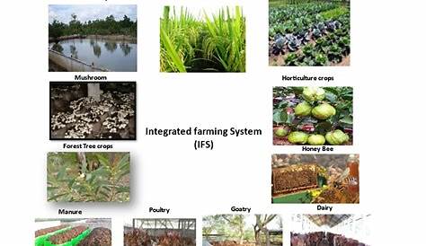 (PDF) Integrated Farming Systems A Larger Perspective (in
