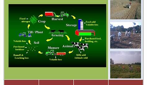 Integrated Farming System Pdf In Tamil (PDF) sAn Overview