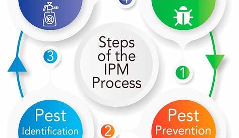 Integrated Pest Management Model (IPM) Sustainable
