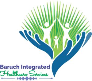 integrated healthcare services llc