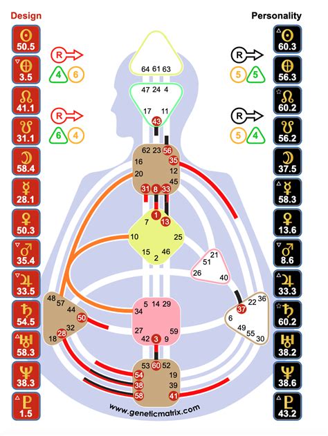 Integration Circuit Human Design