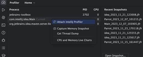 Intellij Profiler No Dump File