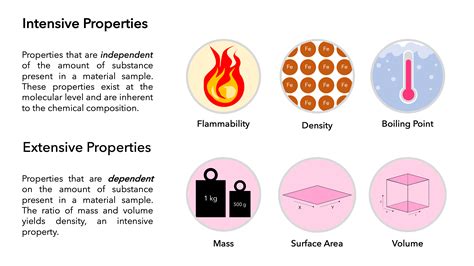 intensive and extensive variables examples