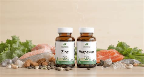 Interaction Zinc Et Magnesium