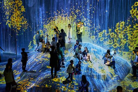 Interactive Artwork Examples
