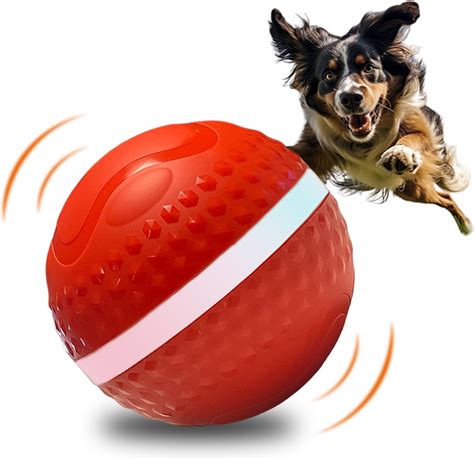 Interactive Ball Dog Toy