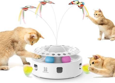 Interactive Cat Video
