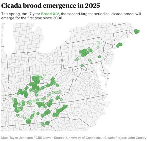 Interactive Cicada Map