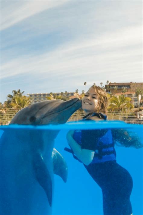 interactive dolphin swim