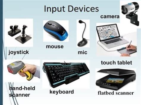 Interactive Input Devices In Computer Graphics In Hindi