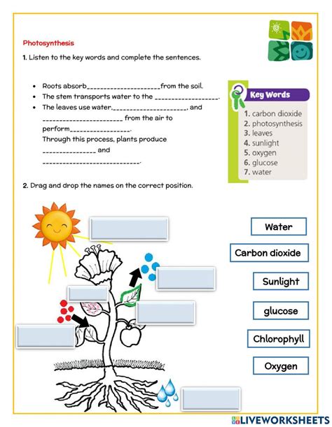 interactive science exercises for kids
