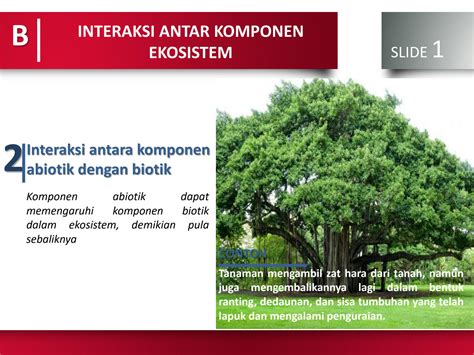 interaksi demonstratif