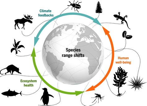 Interconnectedness of microevolution and migration on ecosystems
