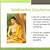 interesting facts about siddhartha gautama