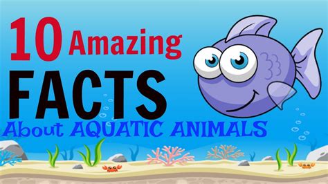 interesting facts about aquatic animals