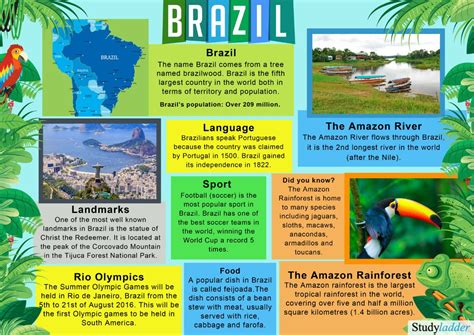 interesting facts about brazil for kids