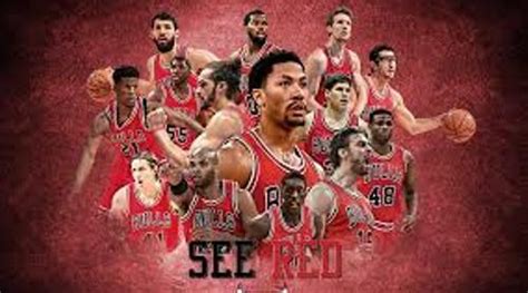 interesting facts about chicago bulls