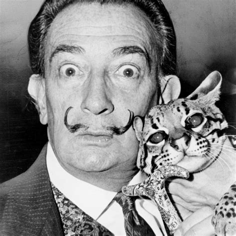 interesting facts about dali