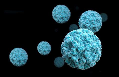 interesting facts about norovirus