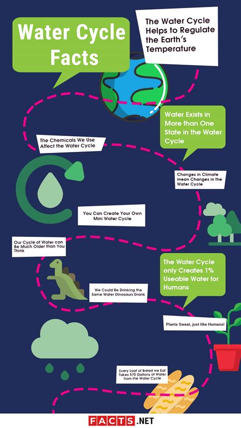 interesting facts about the water cycle