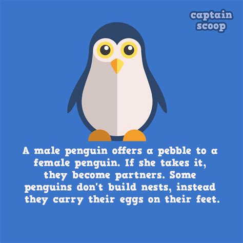 interesting fun facts about animals