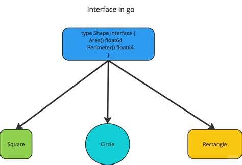 Interface Example Golang