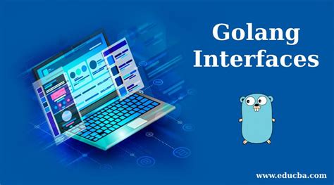 Interface Golang Meaning