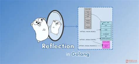 Interface Golang Reflection