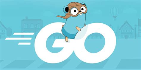Interface Golang Tour