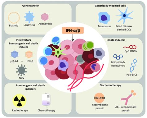 interferon and cancer therapy