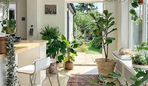 Interior Design Plants Inside House We Tapped Instagram To Learn A Few Easy Décor