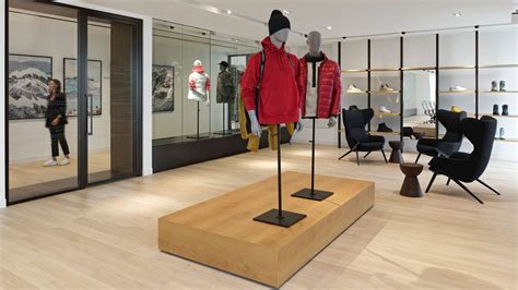 Interior Canada Goose