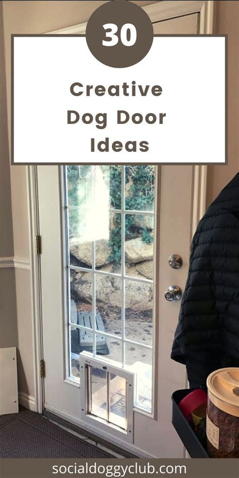 Interior Dog Door Ideas