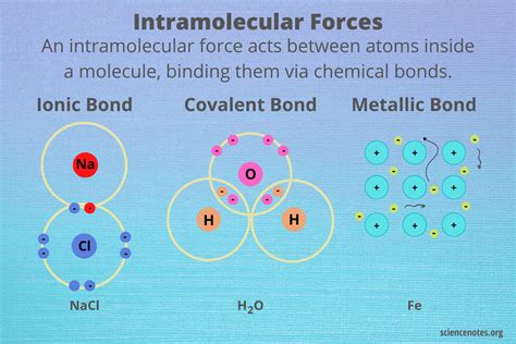 intermolecular and intramolecular forces pdf