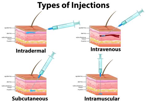 intermuscular vs intramuscular
