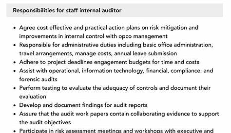 6. Internal Auditor job description
