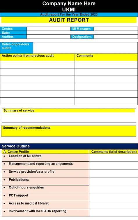 internal audit report format in excel download