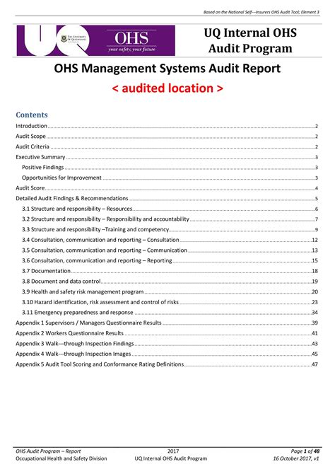 internal audit report template excel