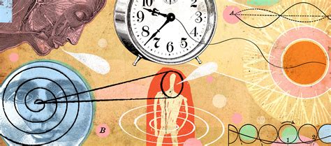 Internal Clock Nytimes