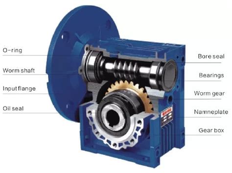 Internal Worm Gear