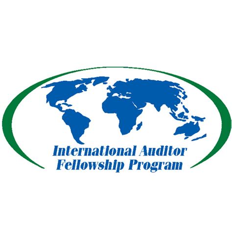 international auditor fellowship program
