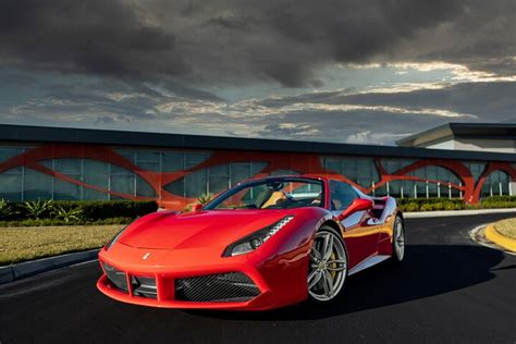 international exotics